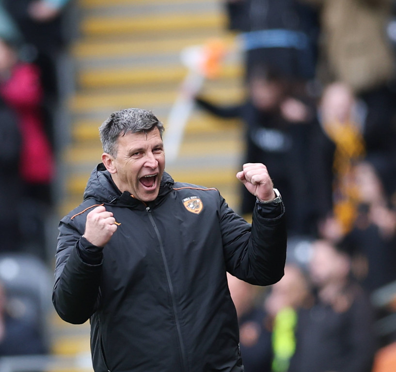 Sergej Jakirović, Hull City